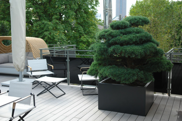 Image for 