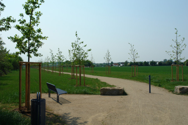 Image for 