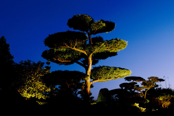 Image for 