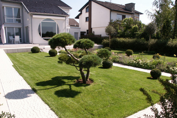 Image for 