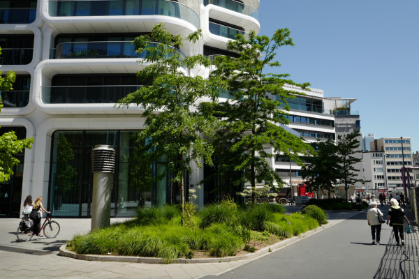 Image for 