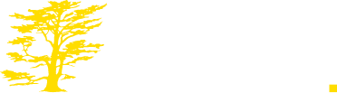 Logo of the site