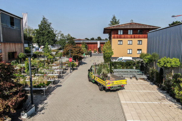 Image for 