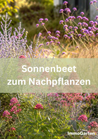 Sonnenbeet 