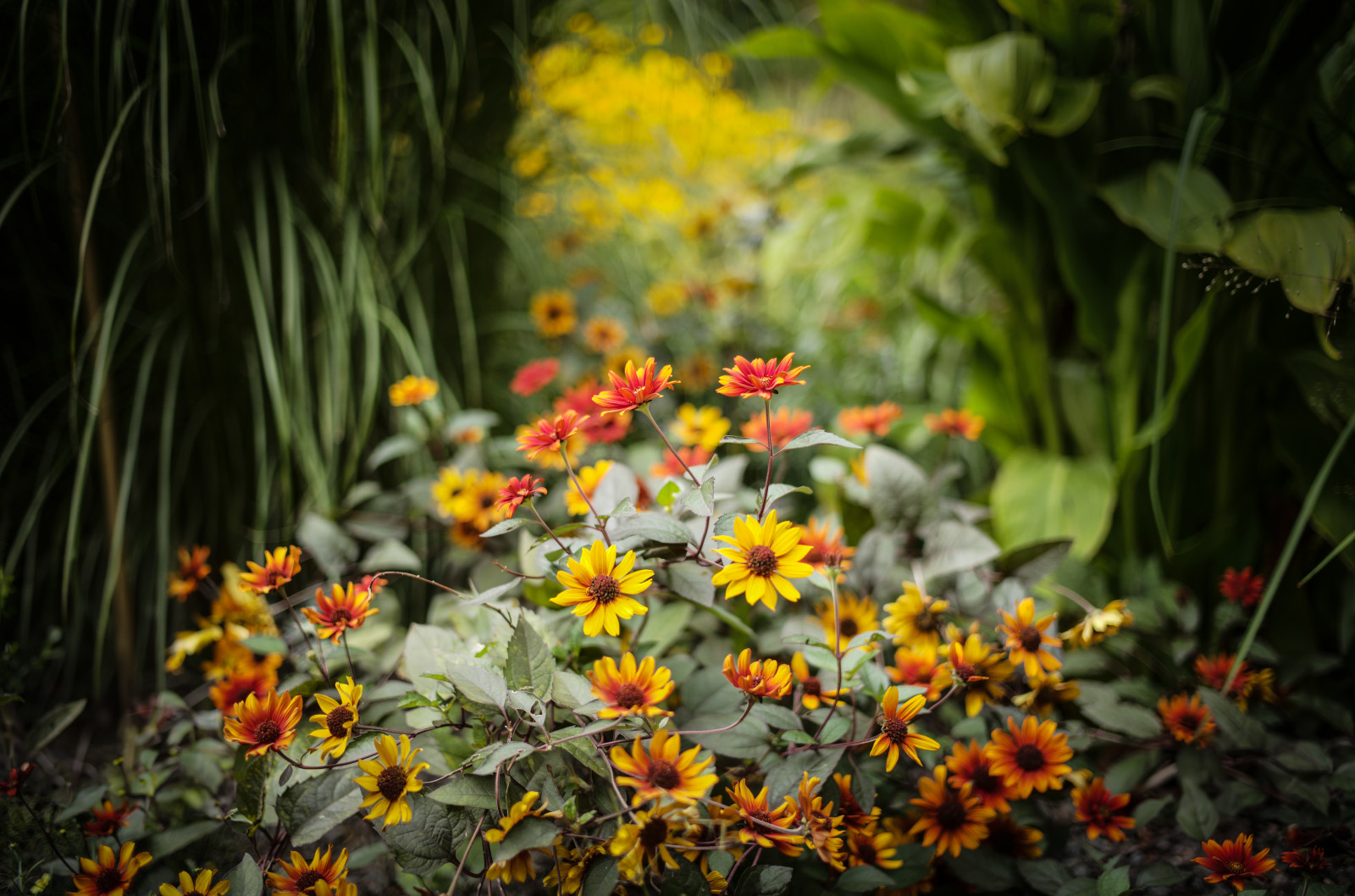 IHR GARTEN, UNSERE LEIDENSCHAFT