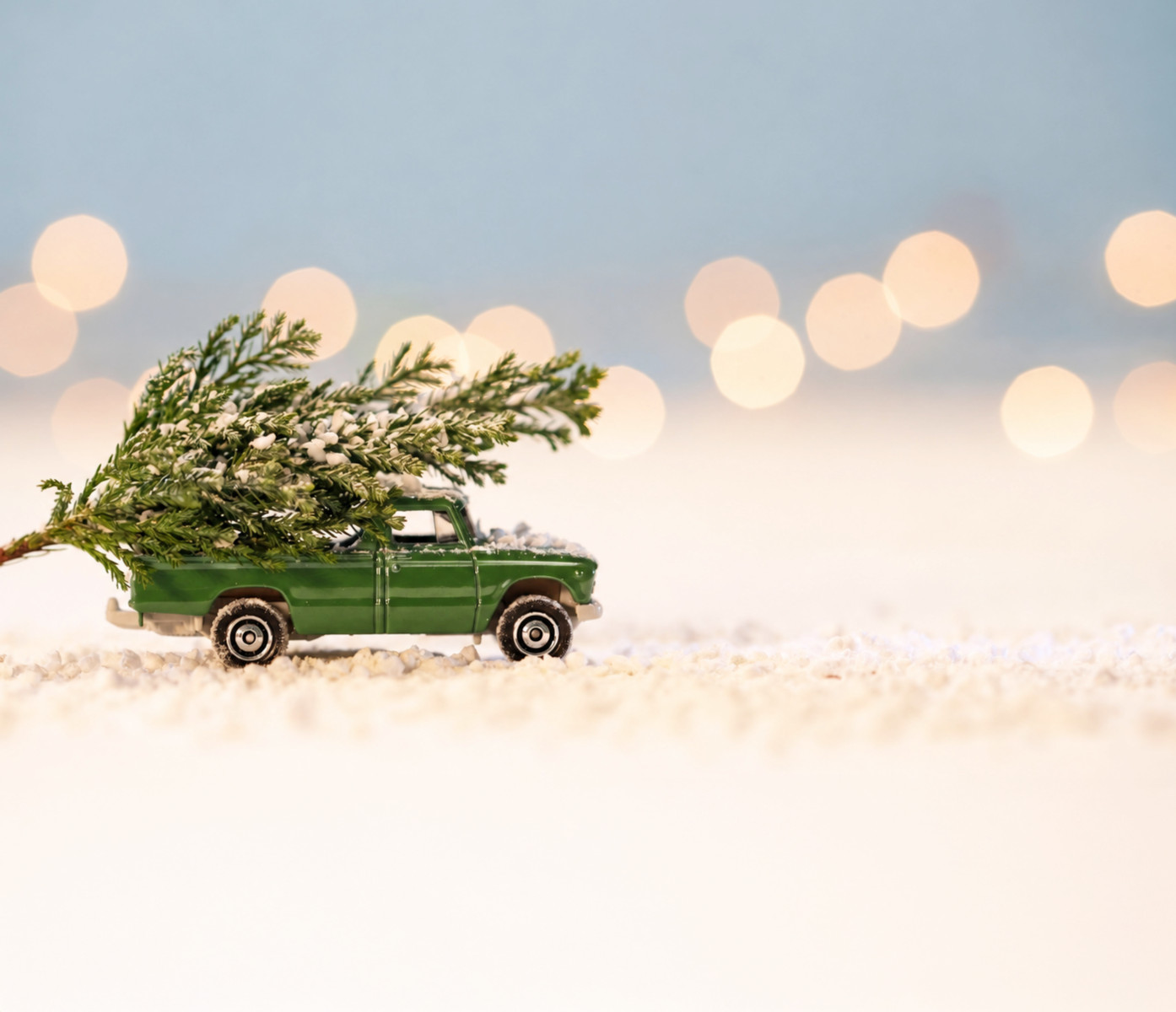 JETZT SCHON WEIHNACHTSBAUM BESTELLEN!